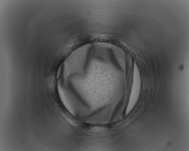 X0000094180708200711241553