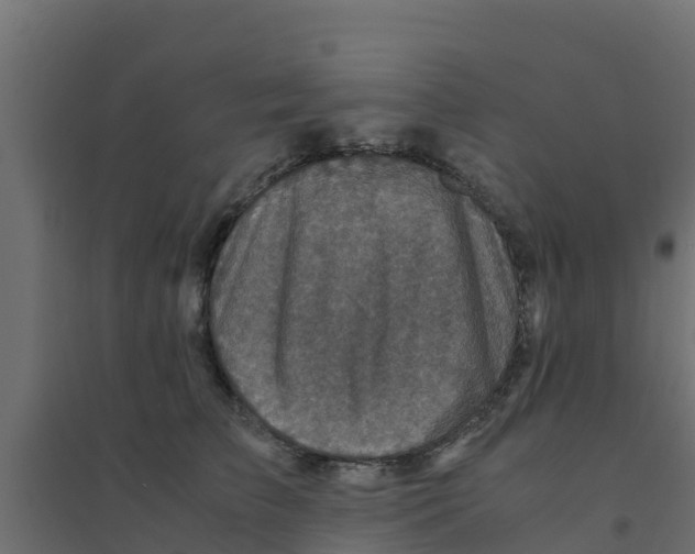 X0000094180709200711241553