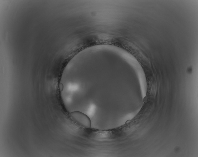 X0000094180711200711241553