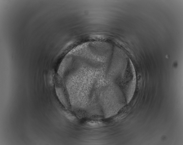 X0000094180712200711241553