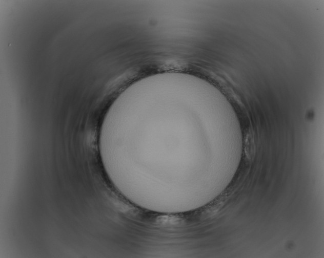 X0000094180714200711241553