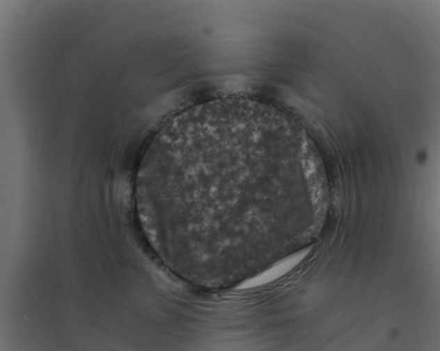 X0000094180715200711241553