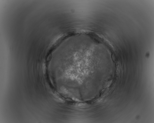 X0000094180716200711241553