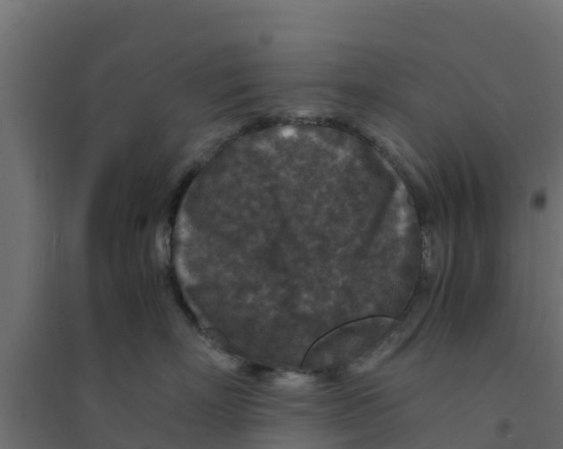 X0000094180718200711241553