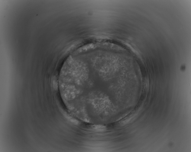 X0000094180719200711241553