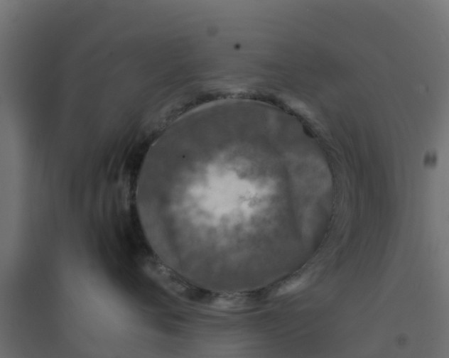 X0000094180720200711241553