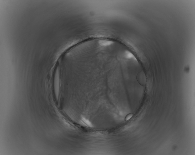 X0000094180721200711241552