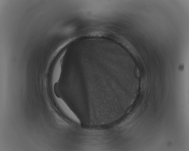 X0000094180722200711241552