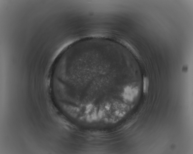 X0000094180723200711241552