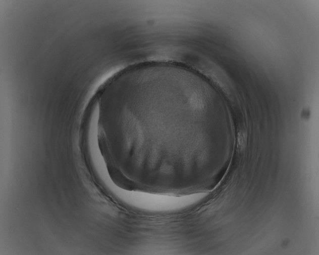 X0000094180724200711241552