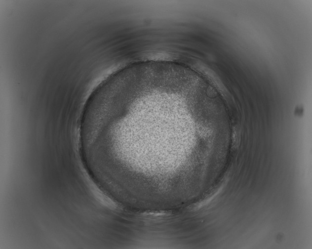 X0000094180725200711241552