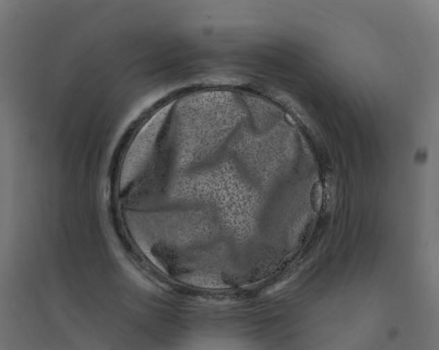 X0000094180726200711241552