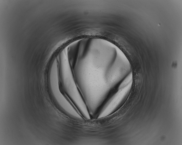 X0000094180727200711241552
