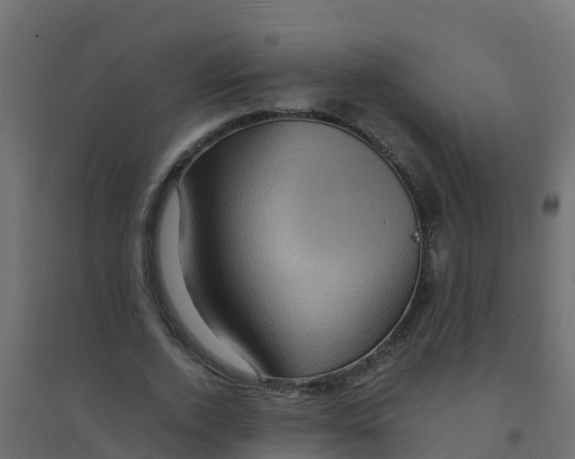 X0000094180728200711241552