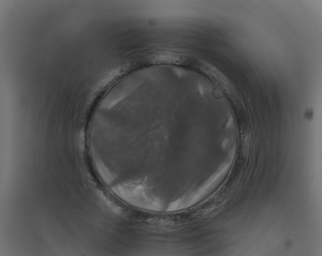 X0000094180729200711241552