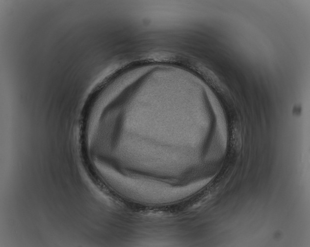 X0000094180730200711241552
