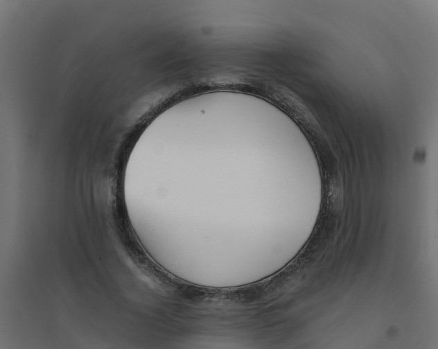 X0000094180732200711241552