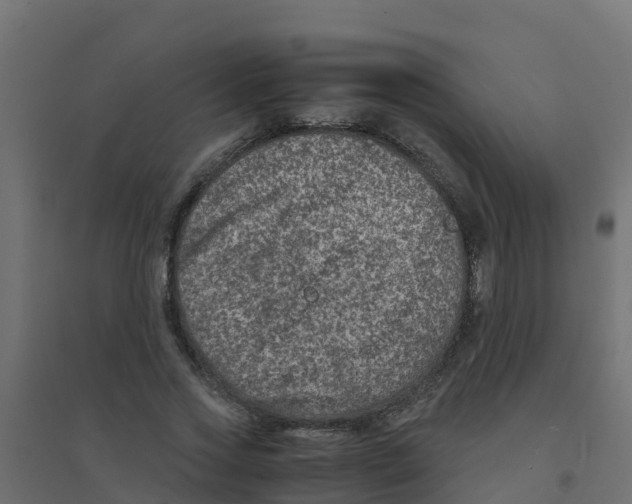 X0000094180733200711241552