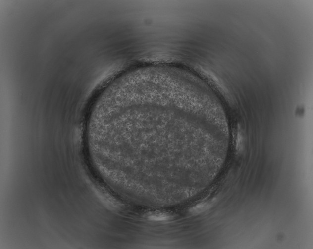 X0000094180735200711241552