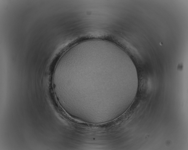 X0000094180736200711241552