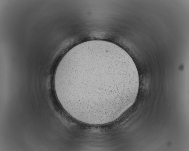X0000094180738200711241553