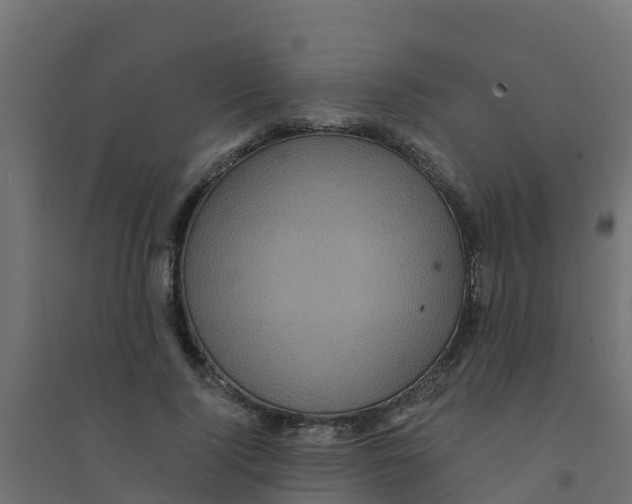 X0000094180740200711241553