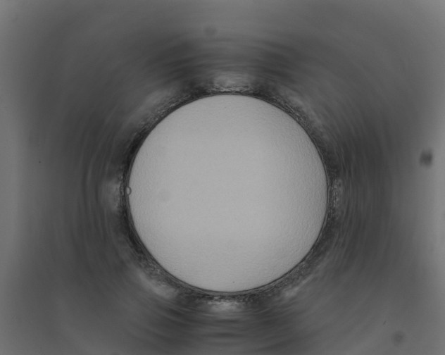 X0000094180741200711241553
