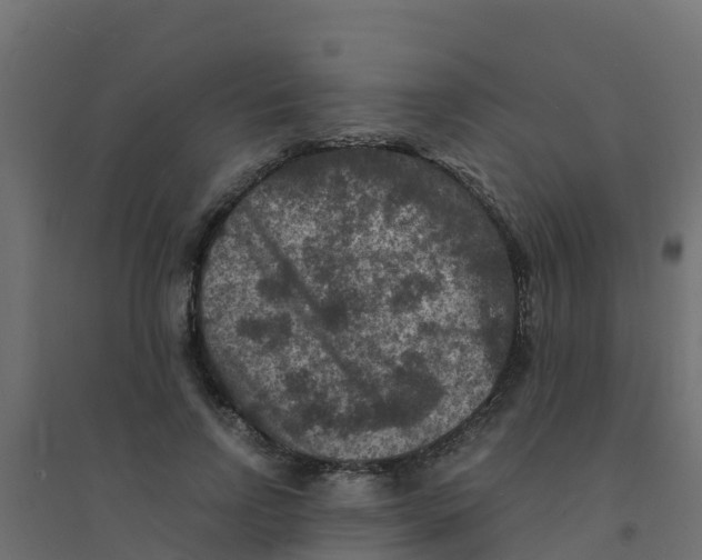 X0000094180742200711241553