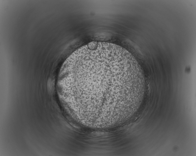 X0000094180745200711241553
