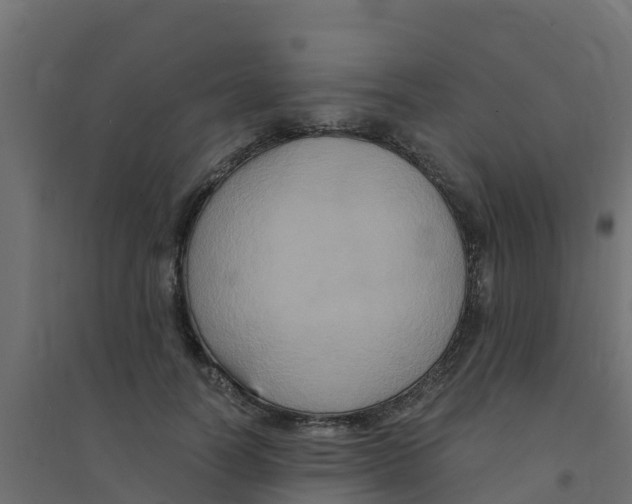 X0000094180746200711241553