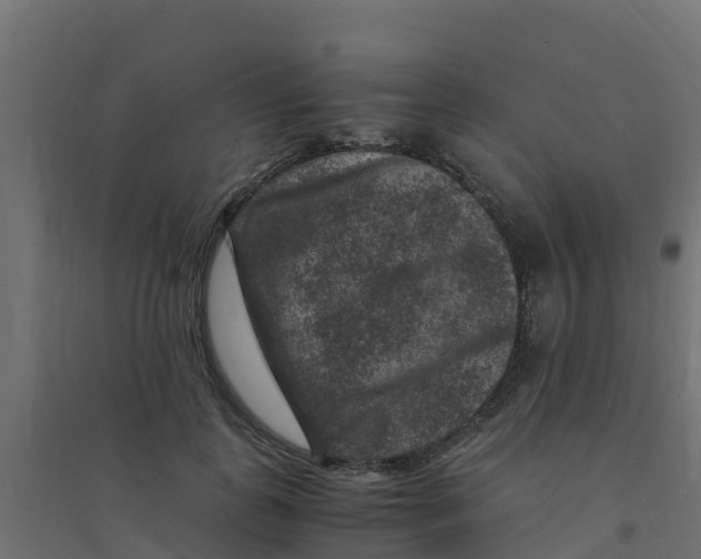 X0000094180747200711241553