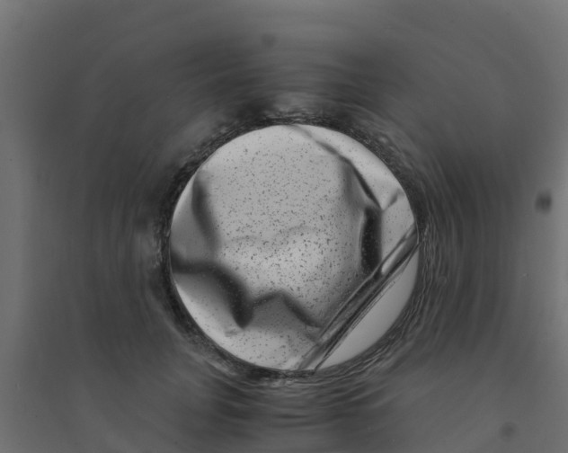 X0000094180751200711241553