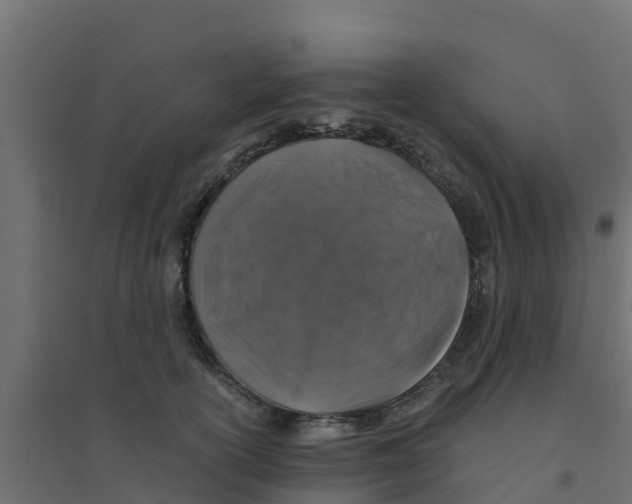 X0000094180754200711241553