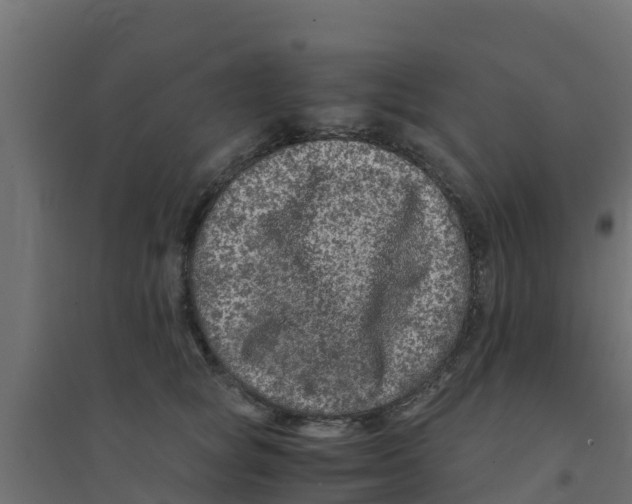 X0000094180757200711241553