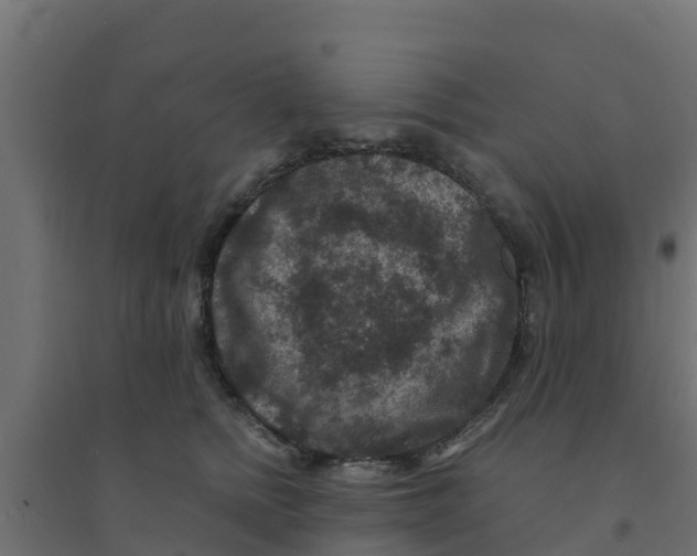 X0000094180758200711241553