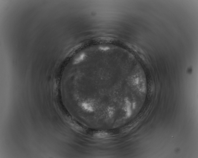 X0000094180759200711241553