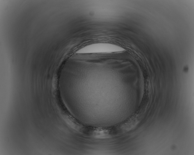 X0000094180760200711241553