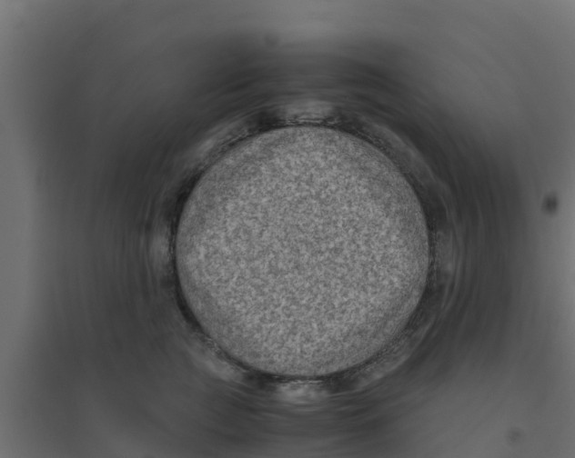 X0000094180761200711241553