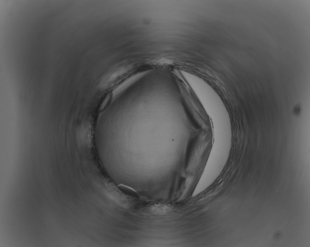 X0000094180762200711241553