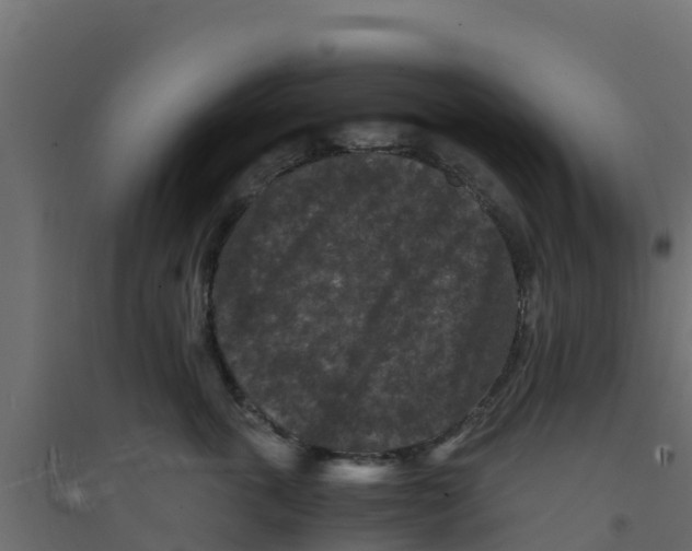 X0000094180763200711241553
