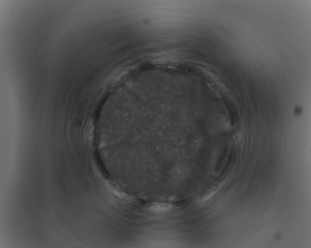 X0000094180767200711241553