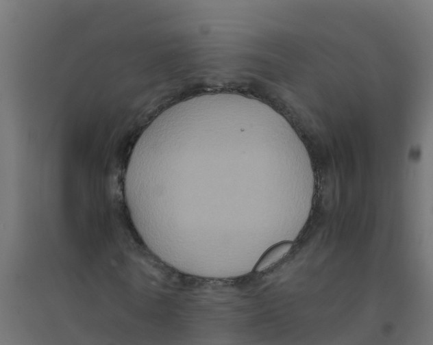 X0000094180770200711241552