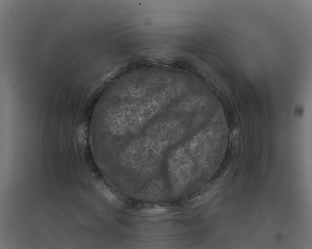 X0000094180772200711241552