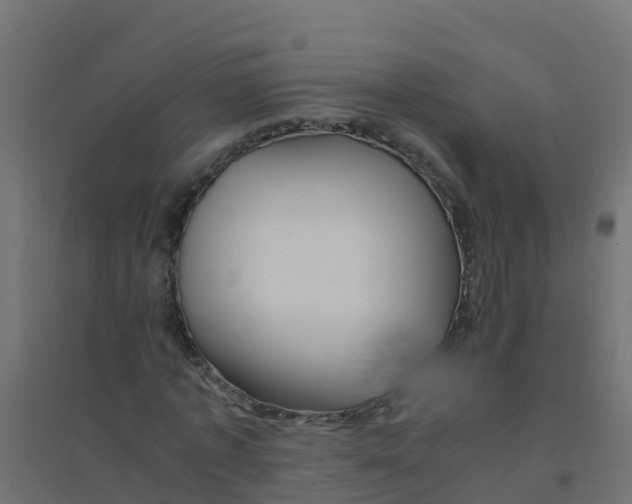 X0000094180773200711241552