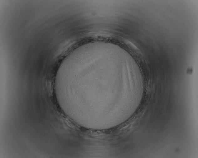 X0000094180774200711241552