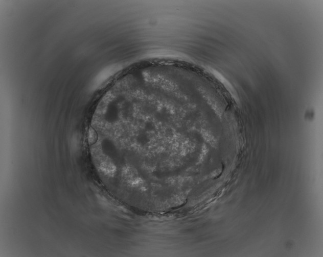 X0000094180775200711241552