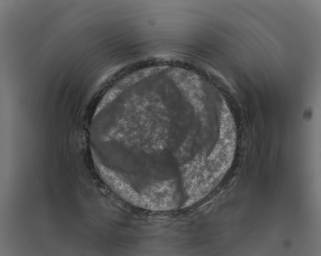 X0000094180776200711241552