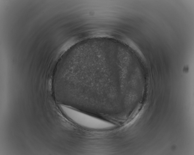 X0000094180777200711241552
