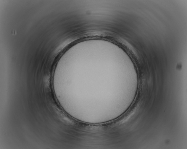 X0000094180778200711241552