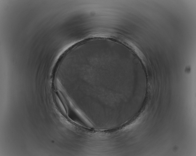 X0000094180779200711241552